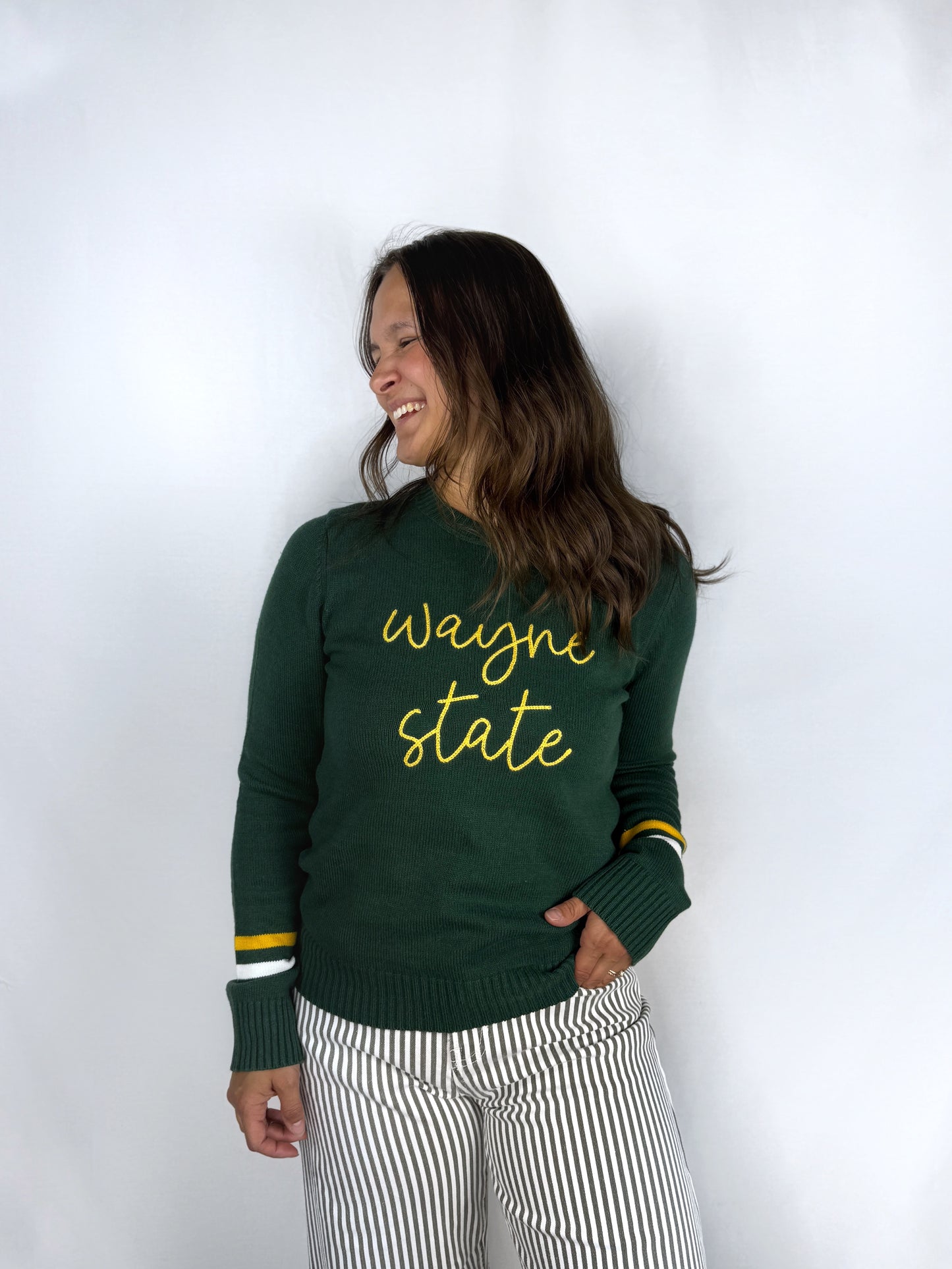 Wayne State Sweater with Sleeve Stripes