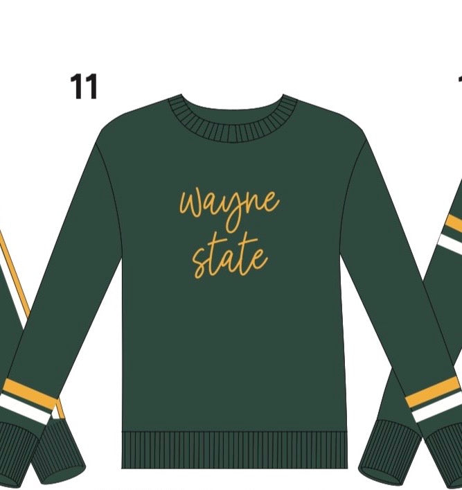 Wayne State Sweater w/Sleeve Stripes