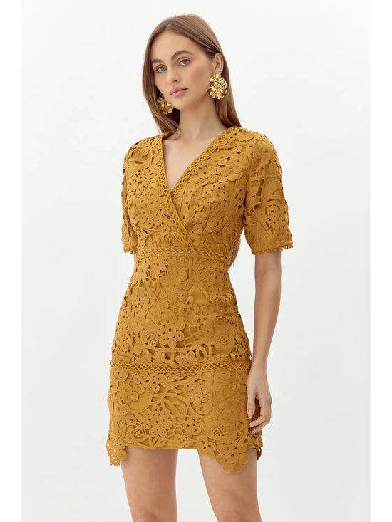 Tasha Scalloped Crochet Lace Mini Dress