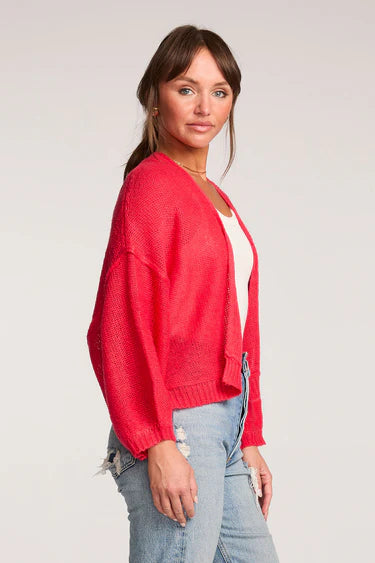 Aden Cardigan Sweater
