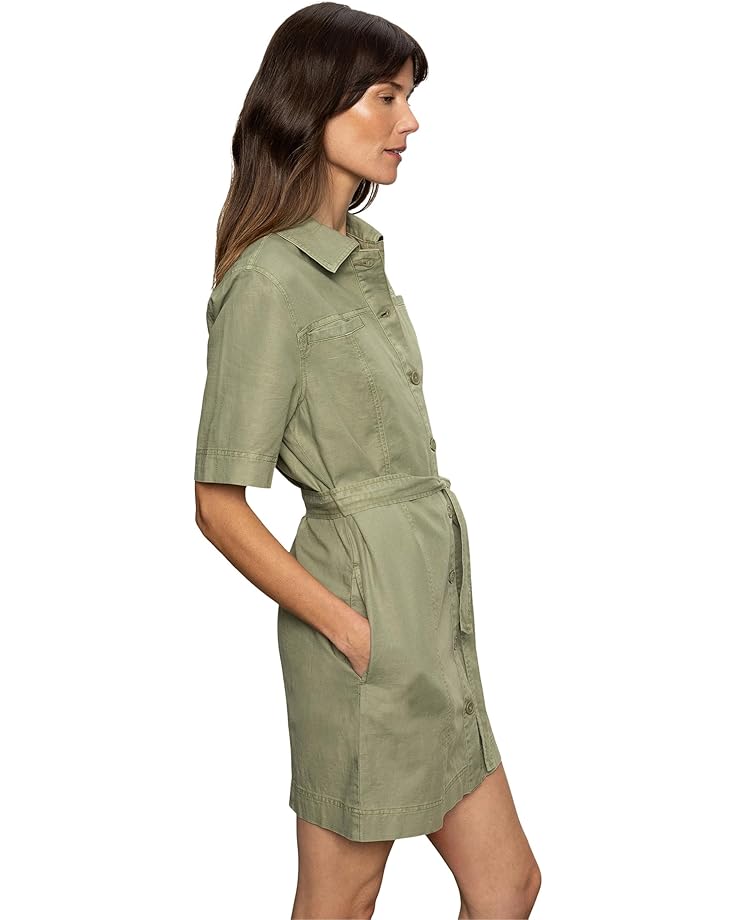 Alma Surplus Dress