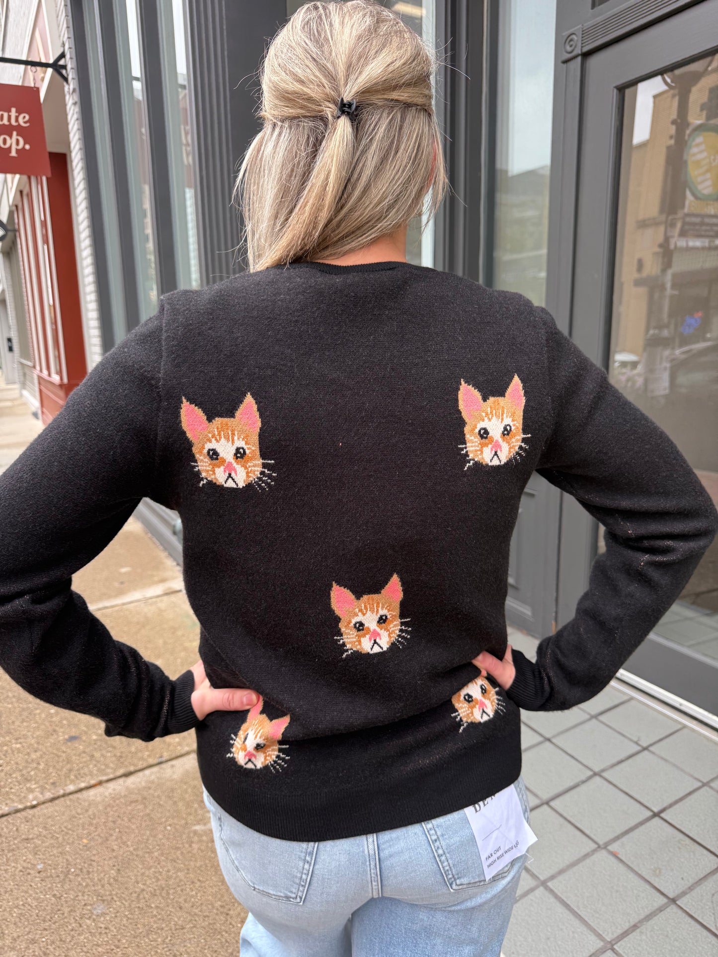 Feline Fine Sweater