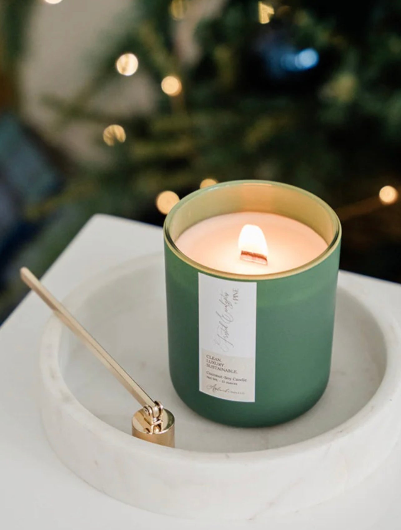 Frosted Eucalyptus & Pine Candle