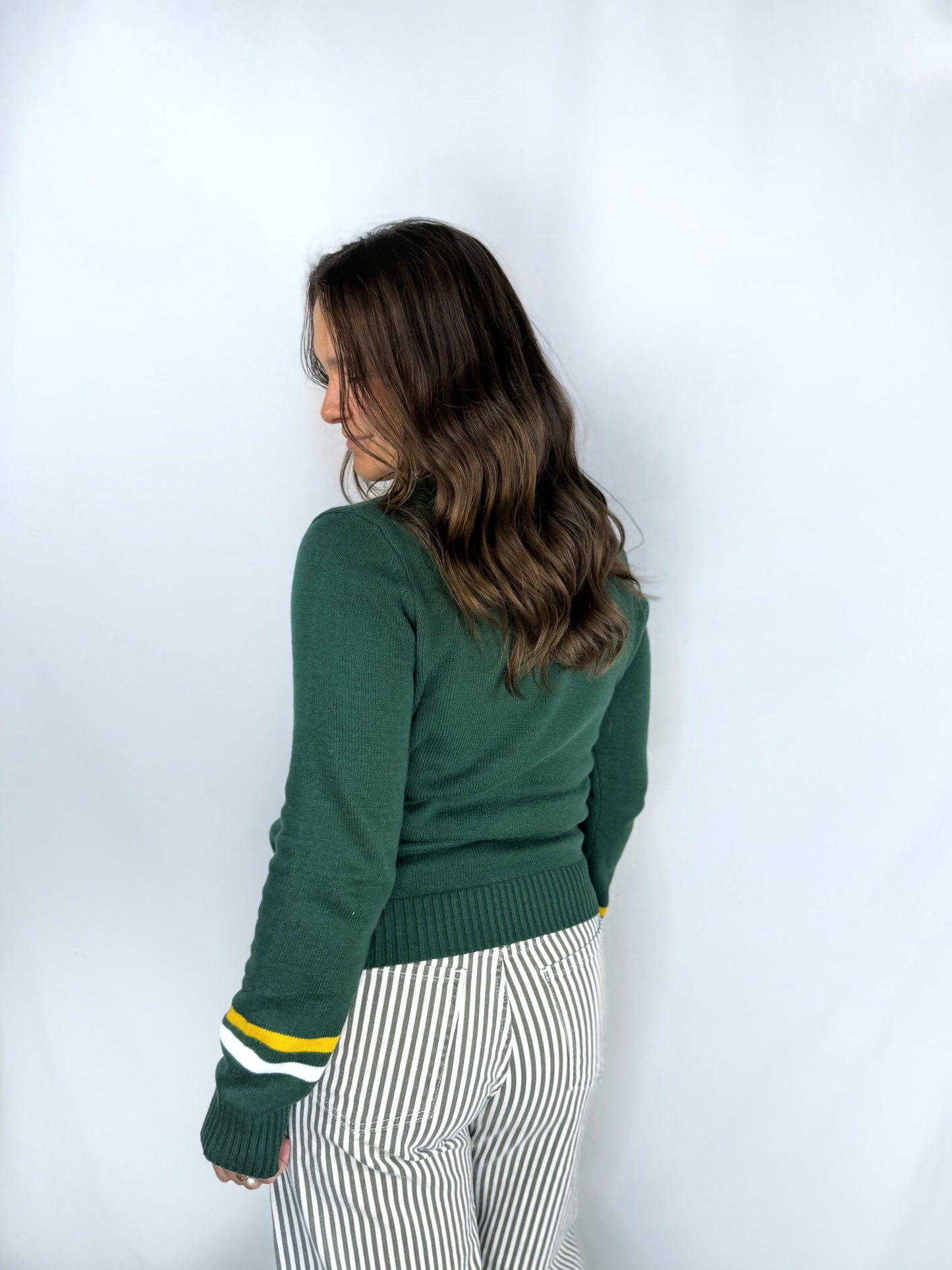 Wayne State Sweater with Sleeve Stripes