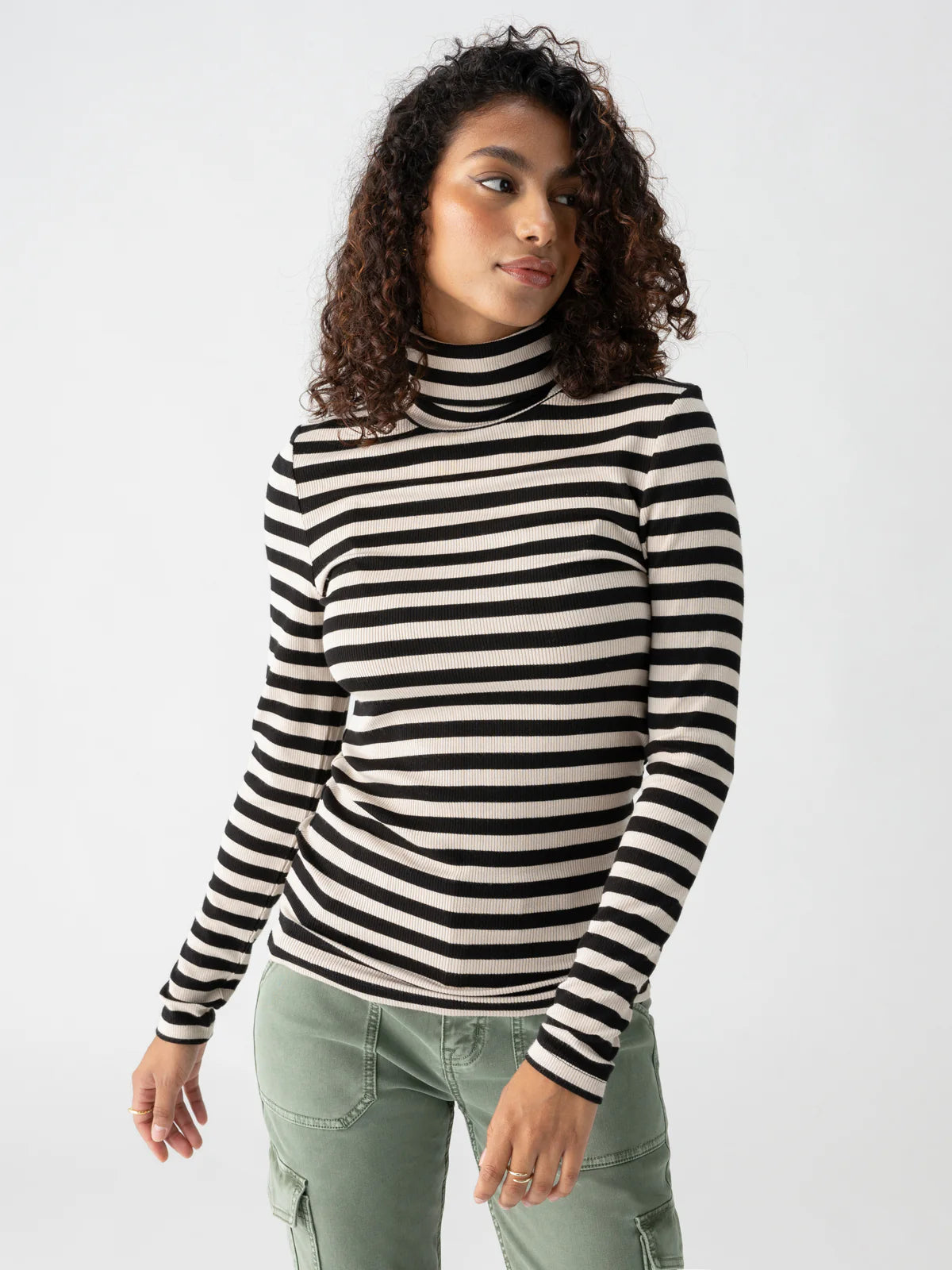 Essential Turtleneck Mini Stripe Top