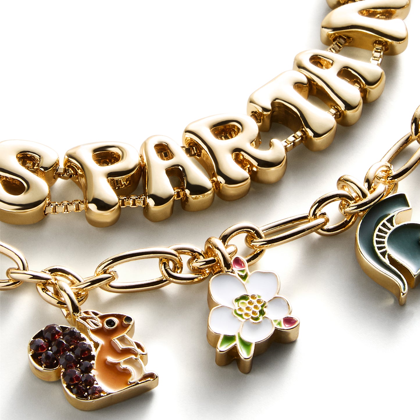 Michigan State University Charm Bracelet Set